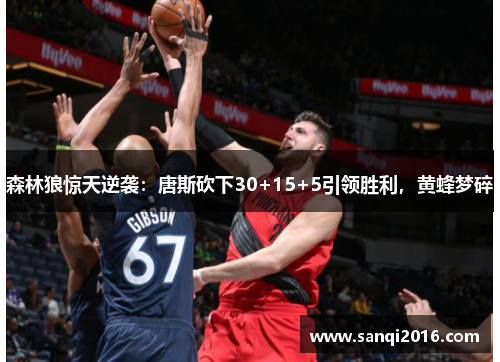 森林狼惊天逆袭：唐斯砍下30+15+5引领胜利，黄蜂梦碎